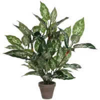 Mica Decorations Dieffenbachia Pvc Künstliche Pflanze