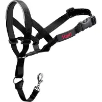 The company of animals Halti Trainingshalsband
