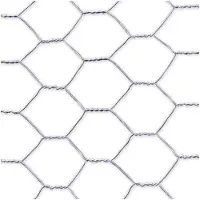 Nortene Dreifach gedrehtes verzinktes Metallgitter 1,9 cm – 0,5 x 10 m