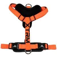 Nayeco Haustiergurt x-trm 60-100 x 2,5 cm Orange