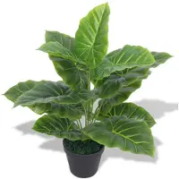 vidaXL Maleo