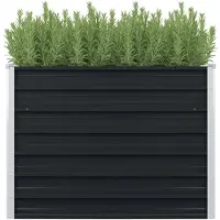 vidaXL Hochbeet Anthrazit 100 x 100 x 77 cm Verzinkter Stahl