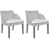 vidaXL Esszimmerstühle mit Kissen 2 Stk. Grau Natur Rattan