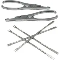 Vin Bouquet NERTHUS FIH 259 - Set de utensils de seafood de Edelstahl, zwei Zangen und vier Spieße