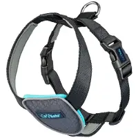 Company of animals Carsafe Travel Dog Hundegeschirr