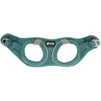 Gloria Hundegeschirr Air Mesh Trek Star Einstellbar Turquoise (18-20 cm)