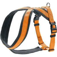 Hunter Geschirr London Comfort S-M/2, orange
