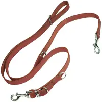 Gloria Hundeleine Oasis Mehrere 2.1 x 200 cm Rot