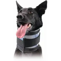 Kvp Bite Free Hundehalsband