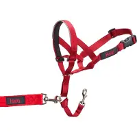 Sublime Market Connect Halti Trainingshalsband
