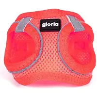 Gloria Air Mesh Trek Star Hundegeschirr L L