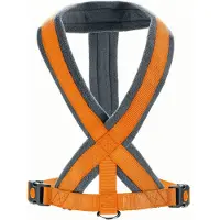Hunter Geschirr London Comfort Orange S-M/1