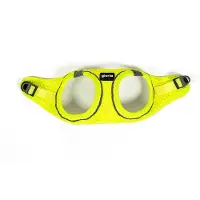 Gloria Air Mesh Trek Star Hundegeschirr L L