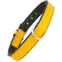 Gloria Hundehalsband Polsterung Gelb (55 x 2,5 cm)