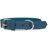 Gloria Oasis Hundehalsband