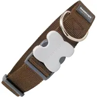 Red Dingo Dog Hundehalsband
