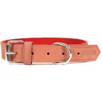 Gloria Oasis Hundehalsband