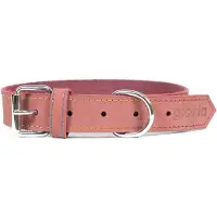 Gloria Oasis Hundehalsband