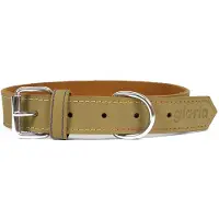 Gloria Oasis Hundehalsband