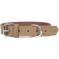 Gloria Oasis Hundehalsband