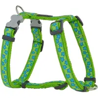 Red Dingo Style Star Hundegeschirr
