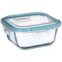 5 Five Glaskonservierbehälter und Gefrierbox mit Ventil 800 ml Five - Transparent - Mit Deckel | Spülmaschinenfest | Mikrowellengeeignet | Luftdicht | Gefriergeeignet | BPA-frei | Wasserdicht