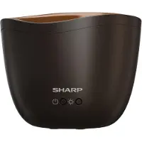 Sharp Ultraschall-Aroma Diffuser 1 St