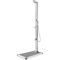 vidaXL Gartendusche mit Grauer Bodenplatte 225 cm Edelstahl