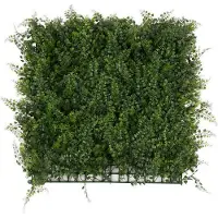 Karat Fern