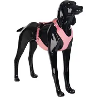 PAIKKA Visibility Harness - Pink - XXL
