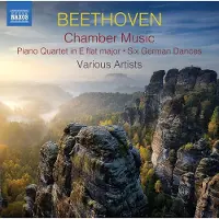 OUTHERE Beethoven:Kammermusik,CD