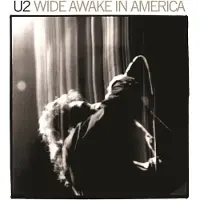 Universal Music - Wide Awake In America (LP)