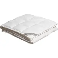 Yumeko Bettdecke Entendaunen 260x220 Wit - Eco, Bio & Fairtrade