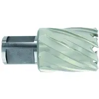 Tivoly HSS-Kernbohrer - kurze Reihe Ø18 L60 mm - Weldon ESSENTIAL - 1037051