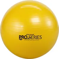 Thera-band Scp Fitball