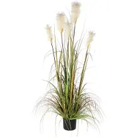 HygieneShopBasics Pampas Grass Artificial Plant Grün