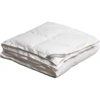 Yumeko Bettdecke Entendaunen 260x220 Wit - Eco, Bio & Fairtrade