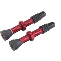 VAR 2 Alloy Presta Ventile