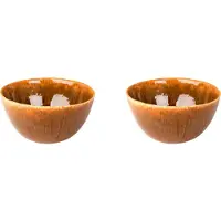 Palmer Schale Rustique 15 cm 70 cl Braun Steinzeug 2 Stück