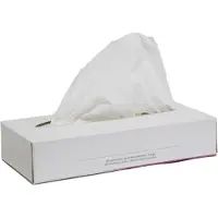 Papstar 40 Packungen Kosmetiktücher 20 cm x 21 cm hochweiss akito 2-lagig