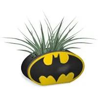 Pan vision Batman Logo Planter Grün