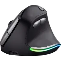 Trust Bayo, rechts, Optisch, RF Wireless, 2400 DPI, Schwarz