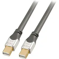 Lindy Mini Displayport-kabel 2 M