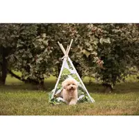 Croci Tipi-Dschungel