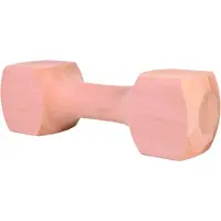Trixie Apportierholz - eckig - 650 g