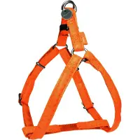 PADU Hundegeschirr MAC LEATHER orange 15mm Zolux