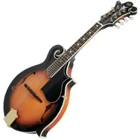 Vgs 505455 Sunburst