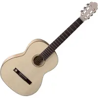 Vgs Pro Natura 4/4 Natural Silver