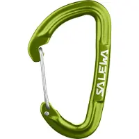 Salewa - Hot G3 Wire Carabiner - Schnappkarabiner oliv