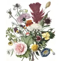 Kek Amsterdam Wallpaper Wilde Blumen